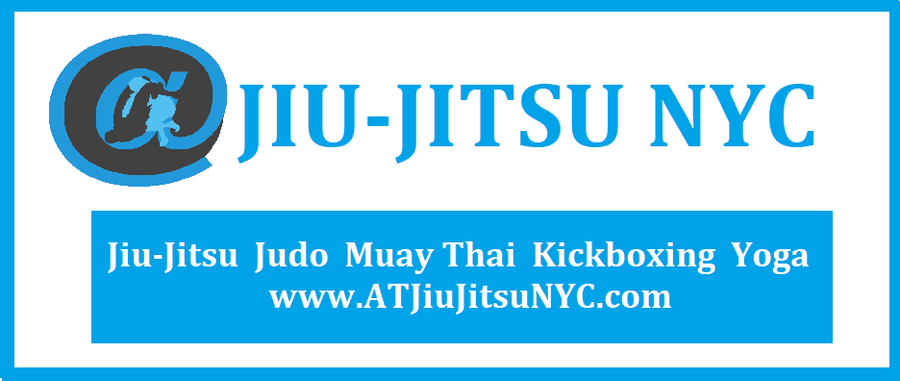 AT Jiu-Jitsu NYC summer camp presale